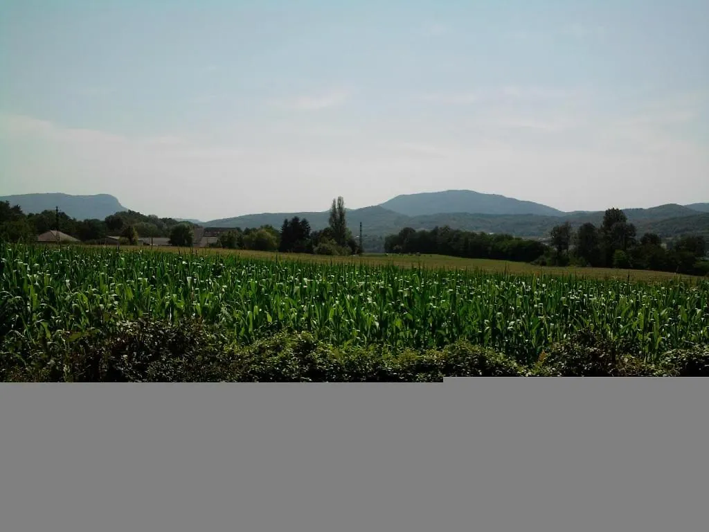 Chambres D'Hotes La Prairie Belley 0*,